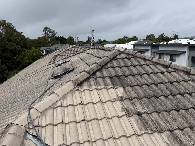 Roof ridge mid-clean with grimy tiles beside restored clean tiles after soft wash