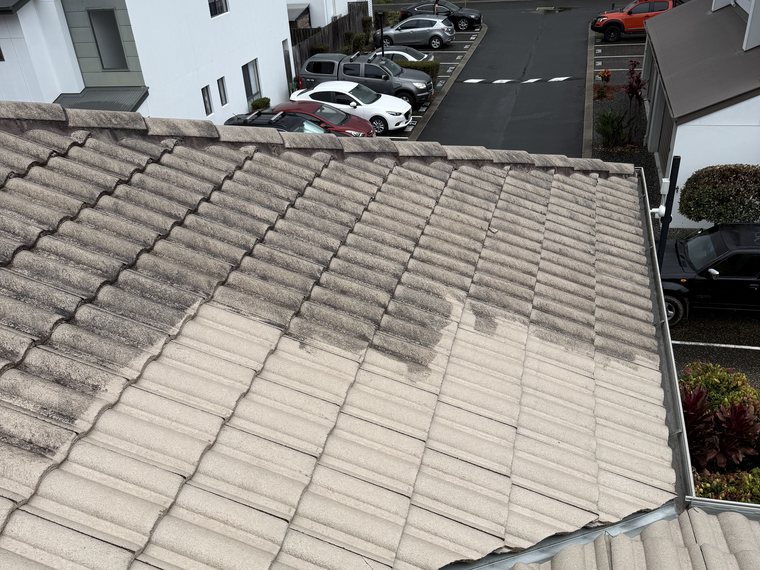 Tile roof mid-clean showing dirty side next to freshly soft-washed clean side
